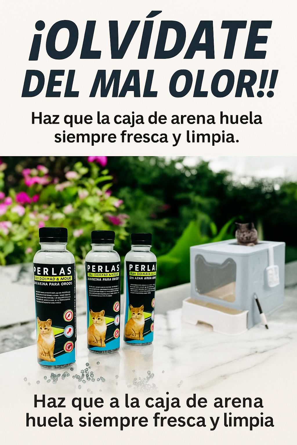 Mascotas